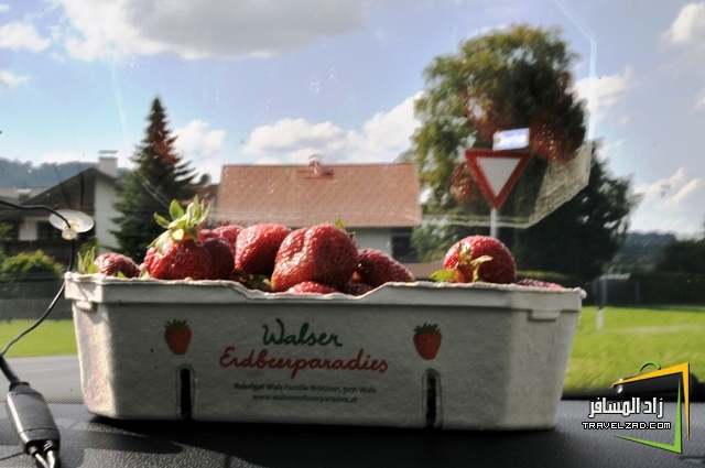 فراولة Walser Erdbeerparadies