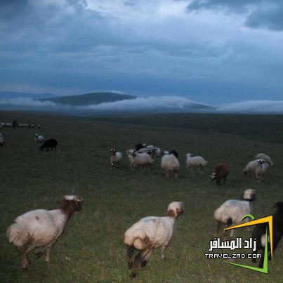 تركيا بين طيب المأكل جمال