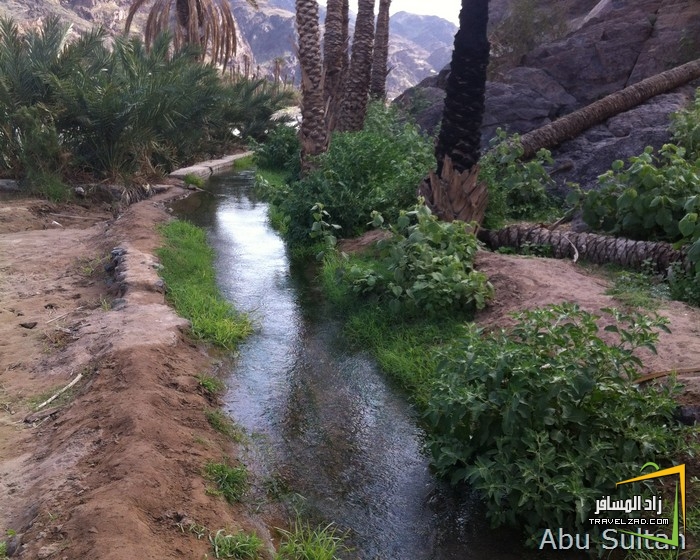 تقرير **ور رحلتنا لوادي الفرع