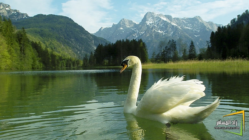 أماكن سياحية (0_0) بحيرة Almsee